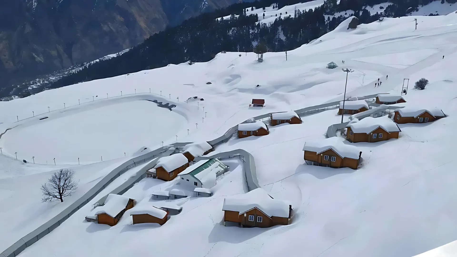 auli (2)