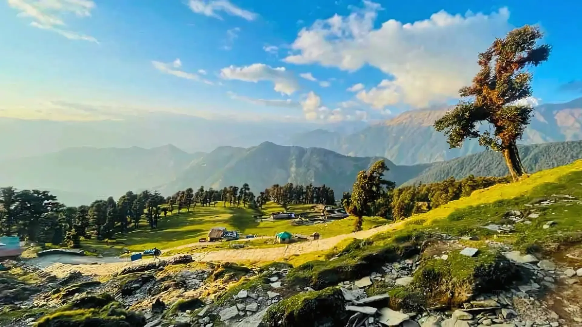 auli (3)