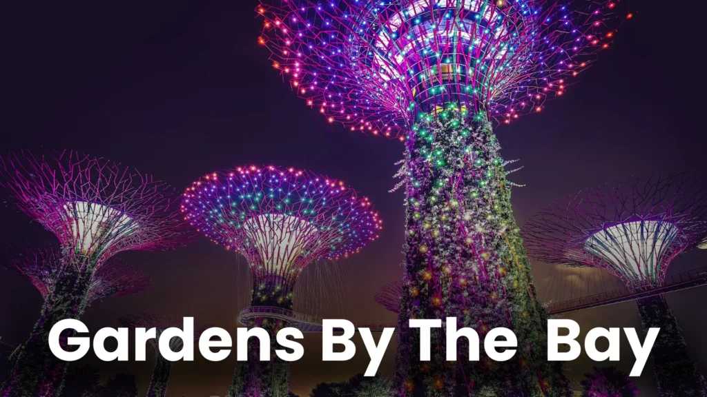 Singapore Attractions (1)