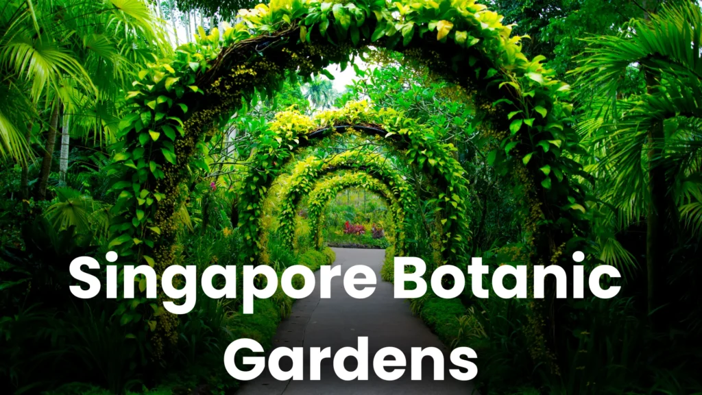 Singapore Attractions (2)