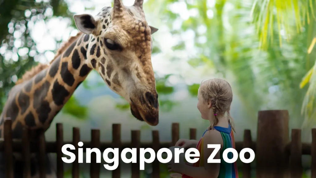 Singapore Attractions (6)