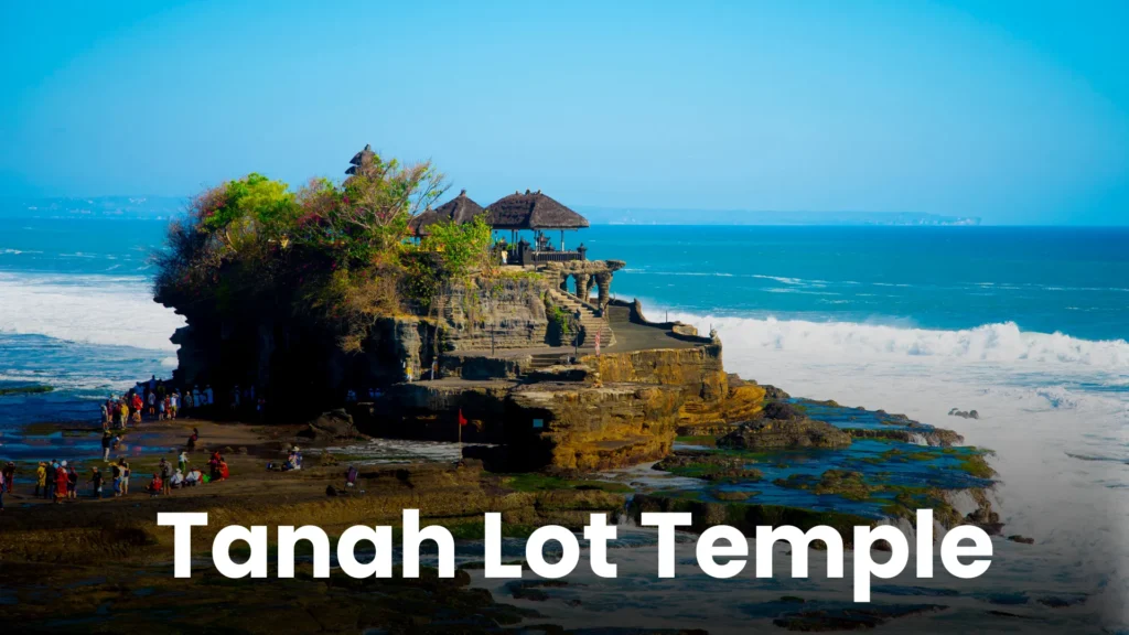 Bali TD (2)