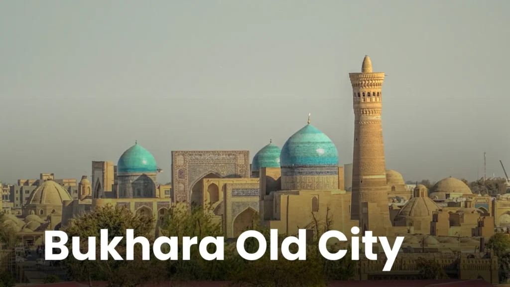 Uzbekistan TD (1)