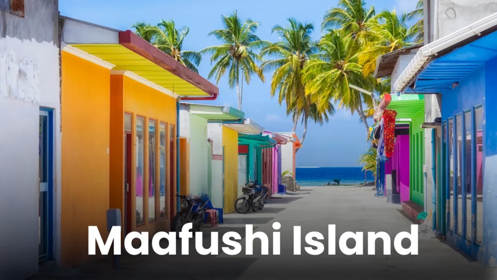 Maldives TD (2)