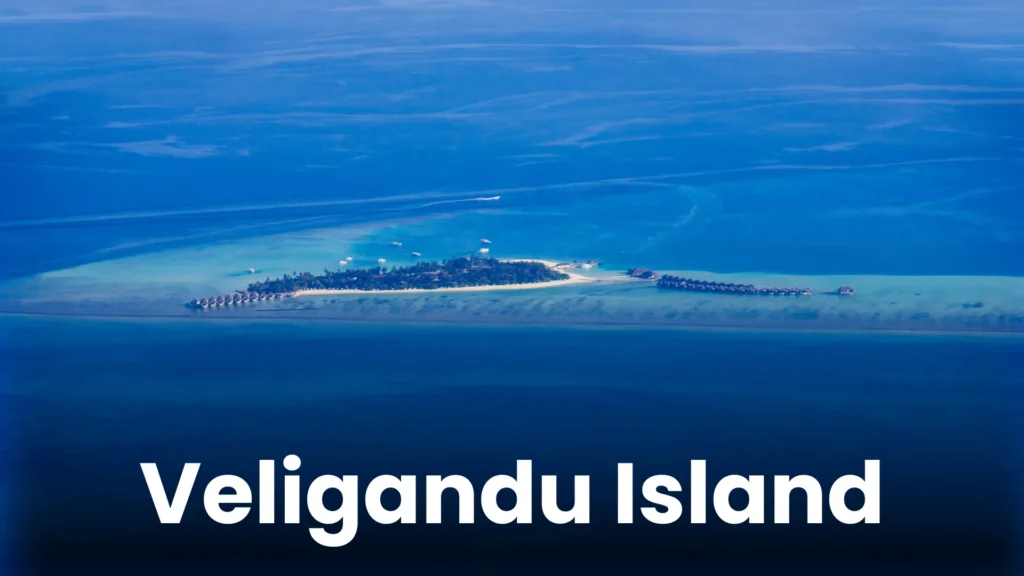 Maldives TD (6)