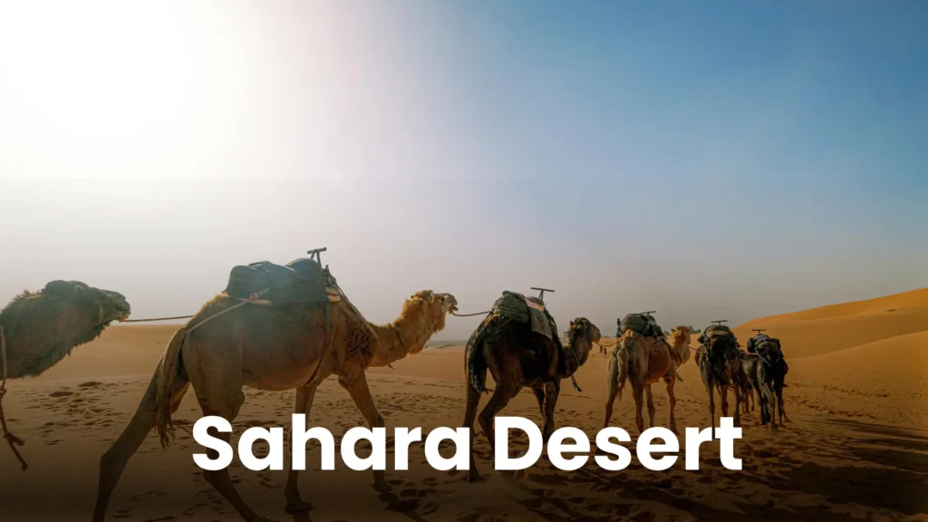 Morocco TD (2)