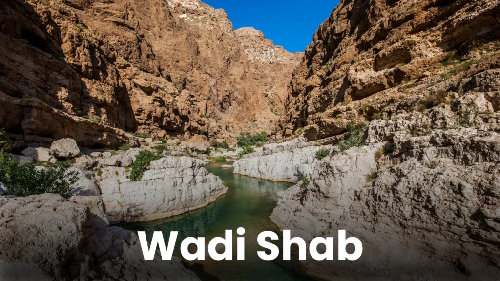 Oman TD 2