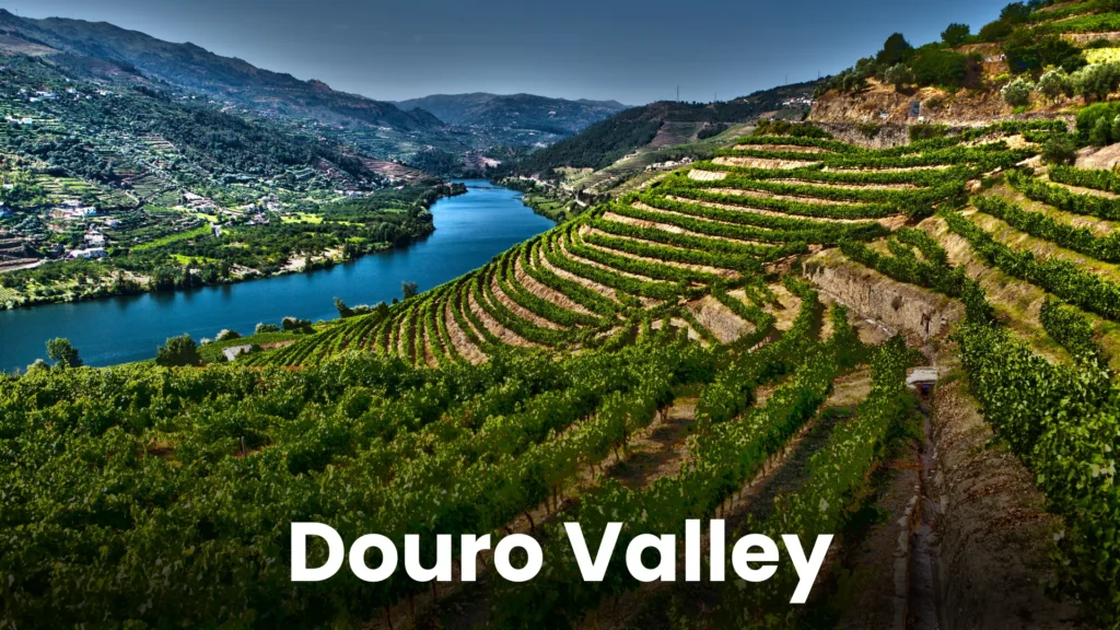 Portugal TD 3