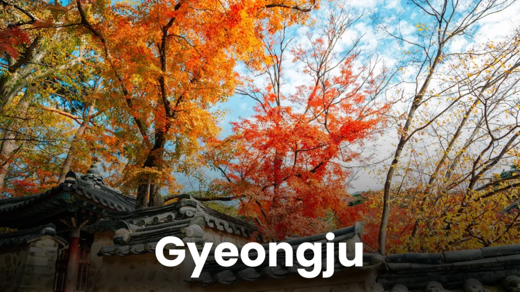 South korea td (2)