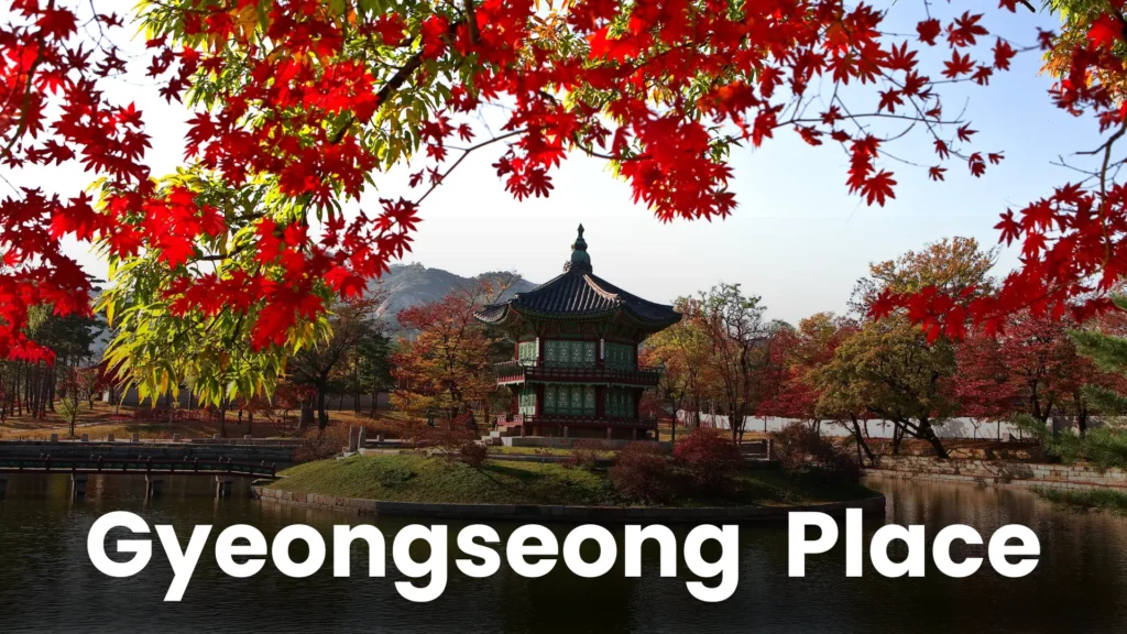 South korea td (3)