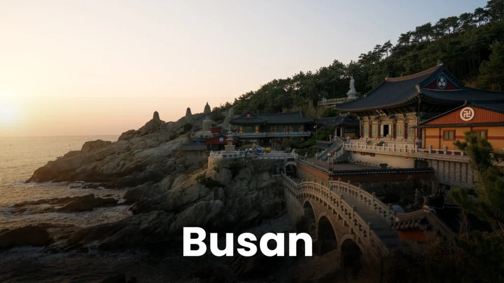 South korea td (5)