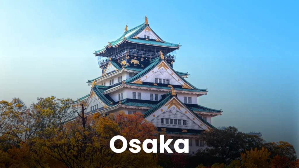 japan td (1)