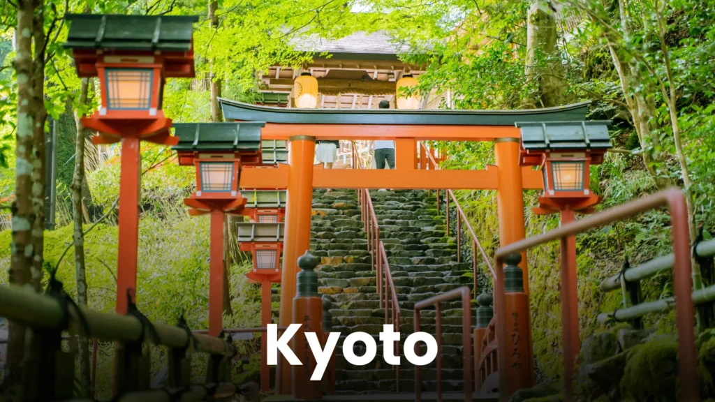 japan td (5)