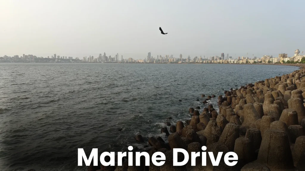 Mumbai TD 3